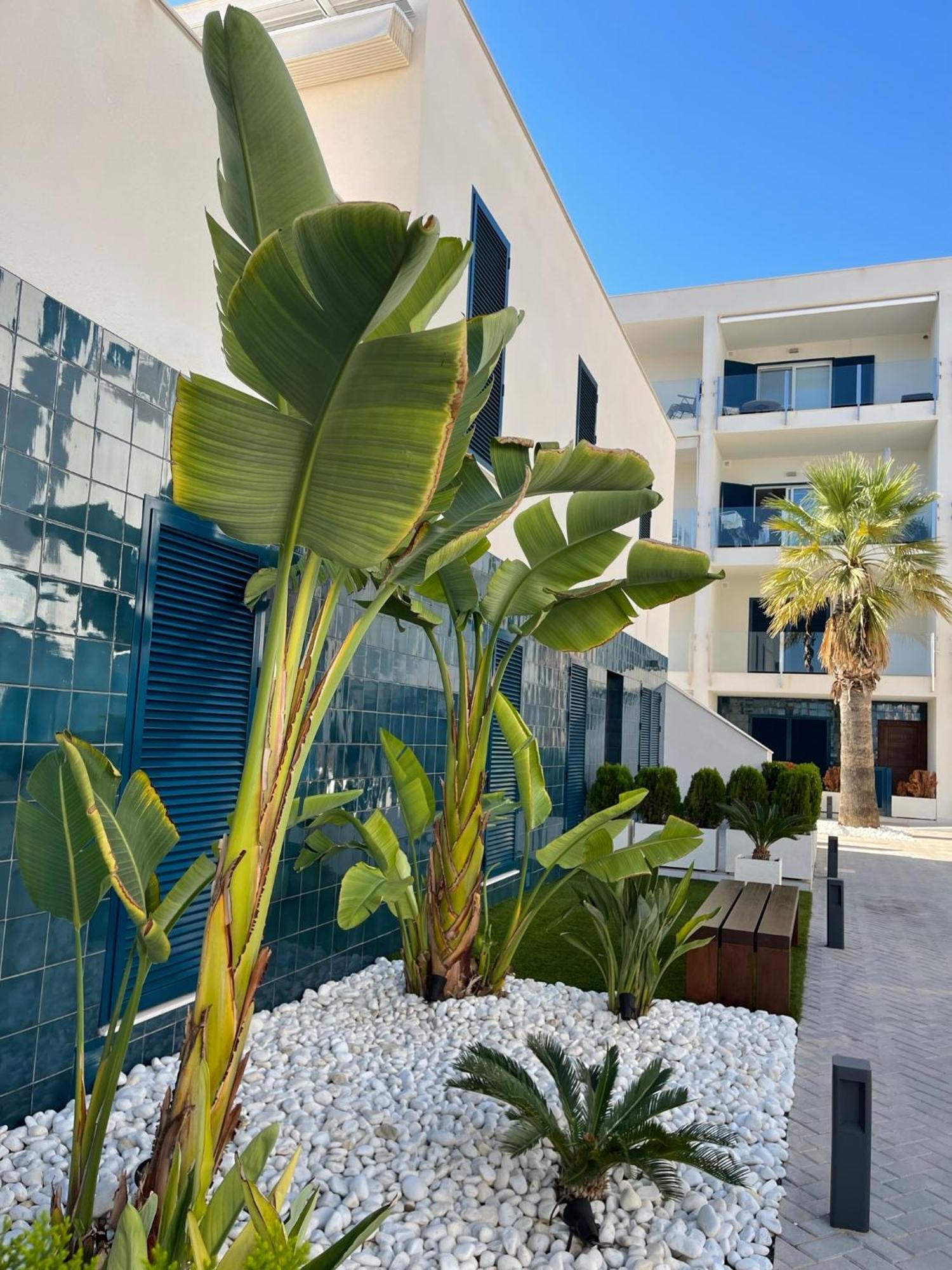 Ferienwohnung Hola Blanca - Sea, Golf, Chill Dehesa de Campoamor  Exterior foto