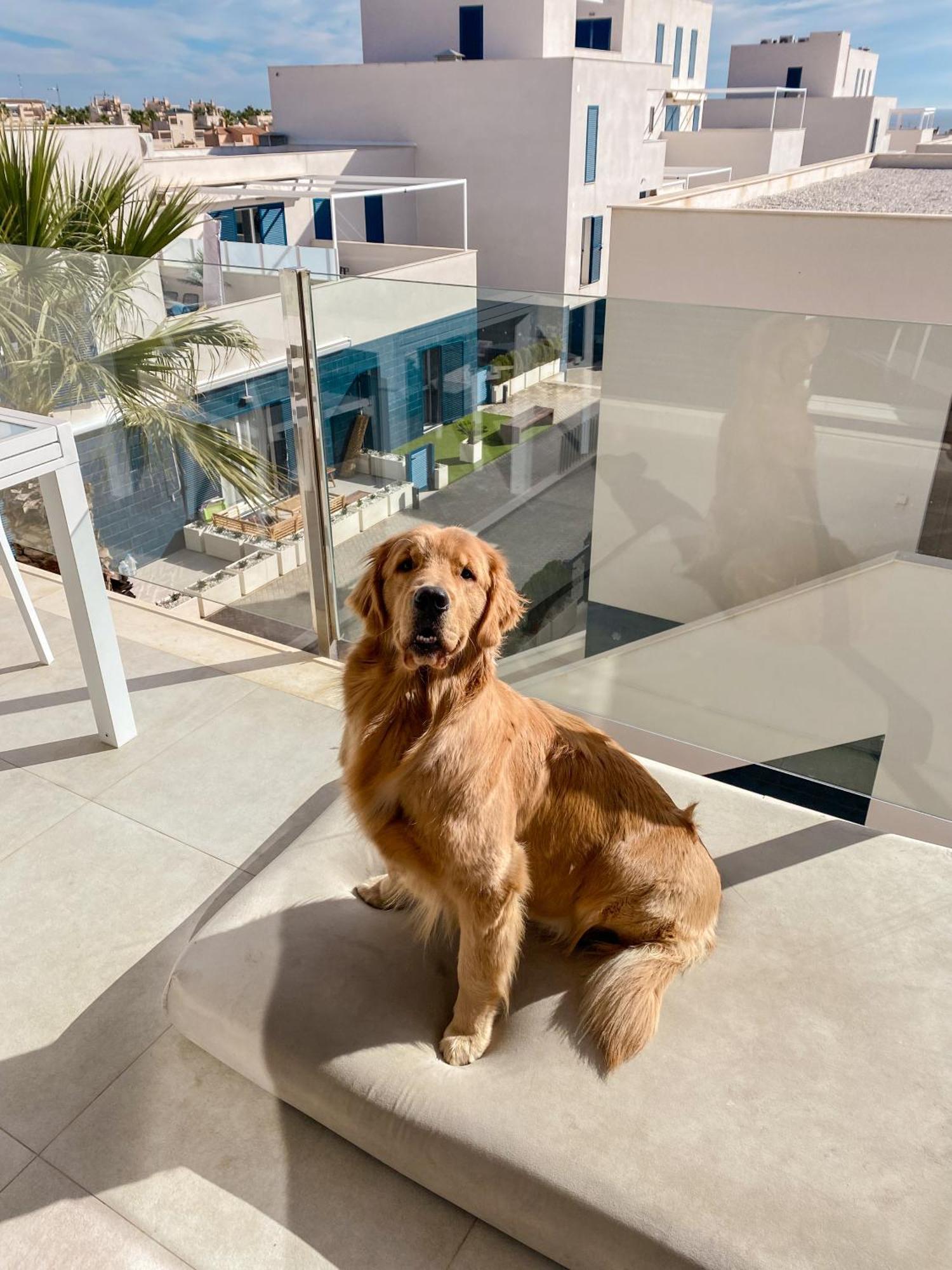 Ferienwohnung Hola Blanca - Sea, Golf, Chill Dehesa de Campoamor  Exterior foto
