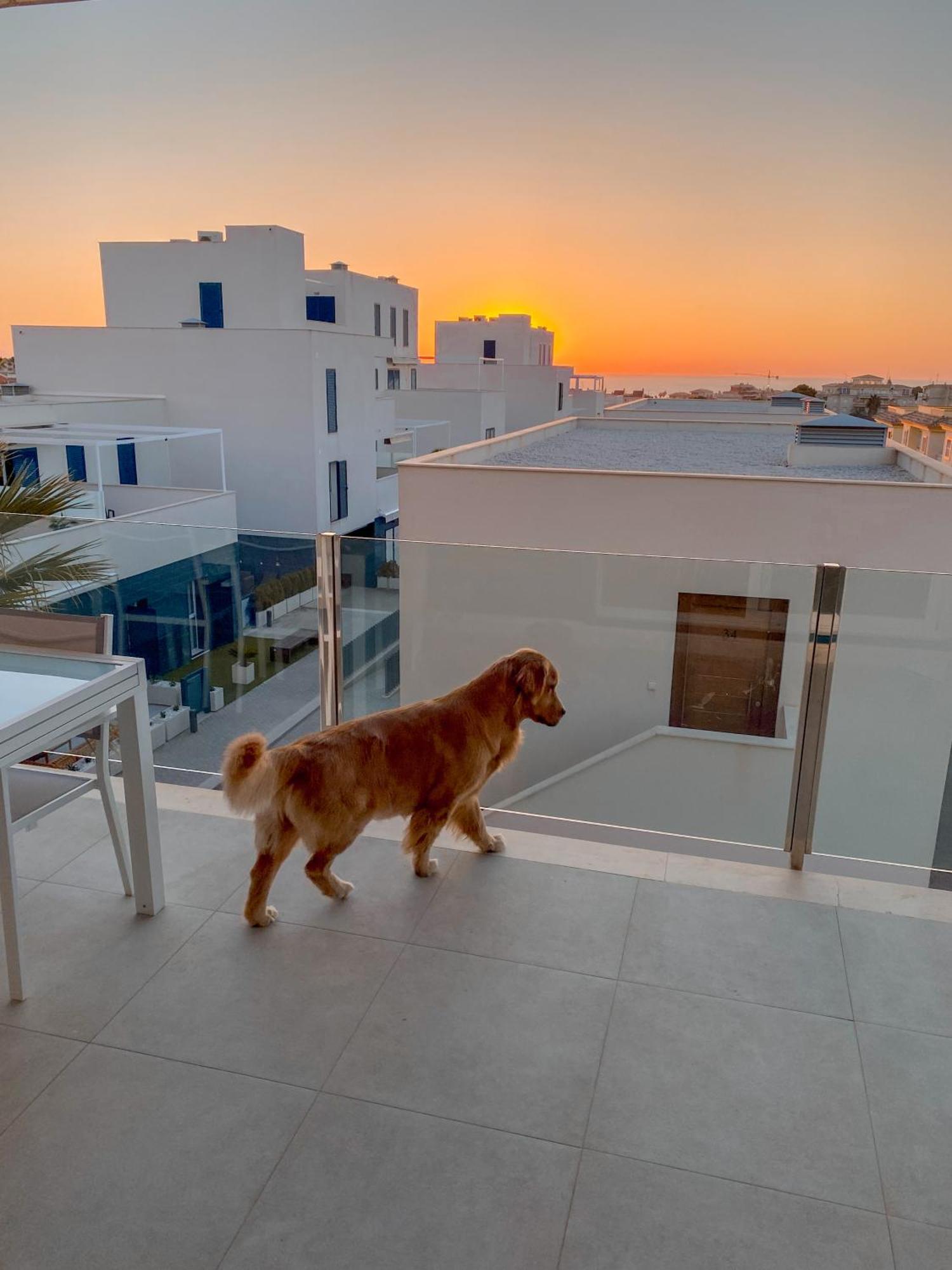 Ferienwohnung Hola Blanca - Sea, Golf, Chill Dehesa de Campoamor  Exterior foto